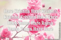 Hare Krishna Maha Mantra 326