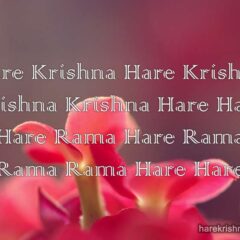 Hare Krishna Maha Mantra in Spanish 005