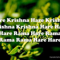 Hare Krishna Maha Mantra 329