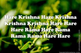 Hare Krishna Maha Mantra 329