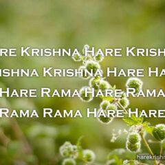 Hare Krishna Maha Mantra in Spanish 004