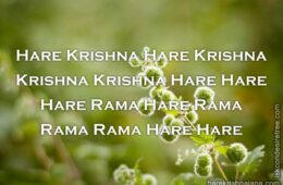 Hare Krishna Maha Mantra in Spanish 004