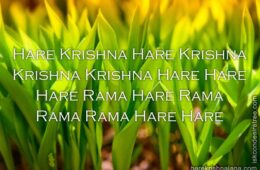 Hare Krishna Maha Mantra 331