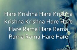 Hare Krishna Maha Mantra 332