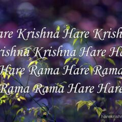 Hare Krishna Maha Mantra 333