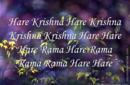 Hare Krishna Maha Mantra 333