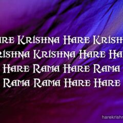 Hare Krishna Maha Mantra 337