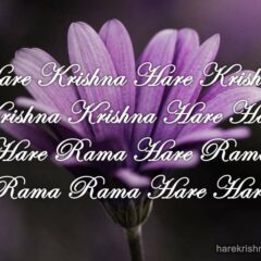 Hare Krishna Maha Mantra 339