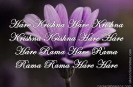 Hare Krishna Maha Mantra 339