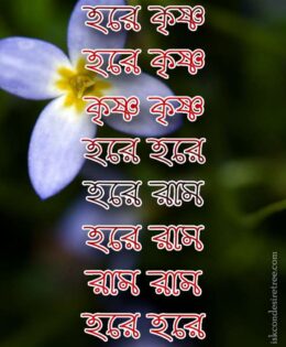 Hare Krishna Maha Mantra in Bengali 001