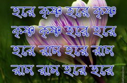 Hare Krishna Maha Mantra in Bengali 007