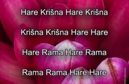 Hare Krishna Maha Mantra in Bosnian 002