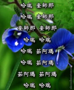 Hare Krishna Maha Mantra in Chinese 001