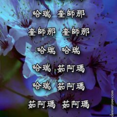 Hare Krishna Maha Mantra in Chinese 004