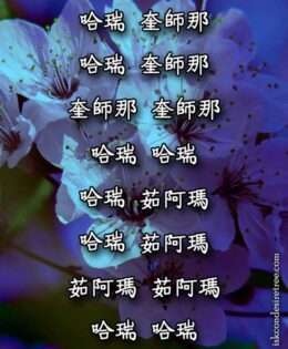 Hare Krishna Maha Mantra in Chinese 004
