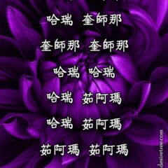 Hare Krishna Maha Mantra in Chinese 005