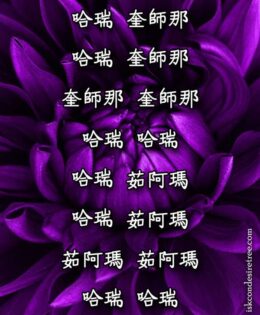 Hare Krishna Maha Mantra in Chinese 005