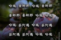 Hare Krishna Maha Mantra in Chinese 003