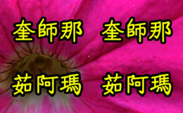 Hare Krishna Maha Mantra in Chinese 003