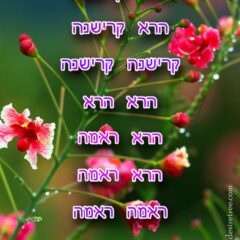 Hare Krishna Maha Mantra in Hebrew 003