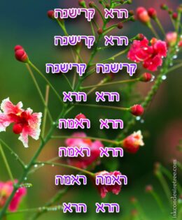 Hare Krishna Maha Mantra in Hebrew 003