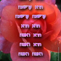 Hare Krishna Maha Mantra in Hebrew 004