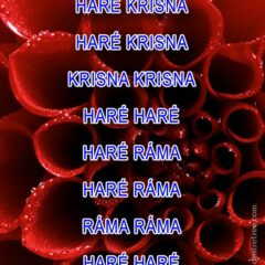 Hare Krishna Maha Mantra in Hungarian 001
