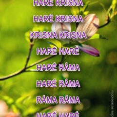 Hare Krishna Maha Mantra in Hungarian 002