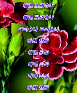 Hare Krishna Maha Mantra in Korean 001