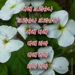 Hare Krishna Maha Mantra in Korean 002