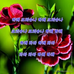 Hare Krishna Maha Mantra in Korean 001