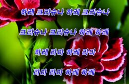 Hare Krishna Maha Mantra in Korean 001