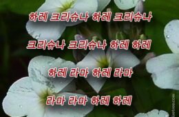 Hare Krishna Maha Mantra in Korean 002