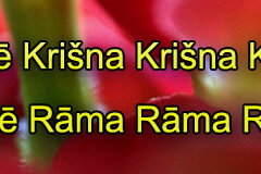 Hare Krishna Maha Mantra in Latvian 002