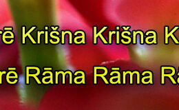 Hare Krishna Maha Mantra in Latvian 002