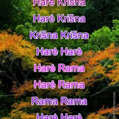 Hare Krishna Maha Mantra in Lithuanian 002