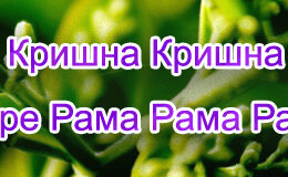 Hare Krishna Maha Mantra in Russian 002