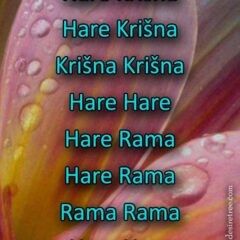 Hare Krishna Maha Mantra in Slovenian 005