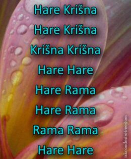 Hare Krishna Maha Mantra in Slovenian 005