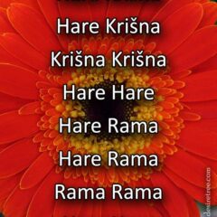 Hare Krishna Maha Mantra in Slovenian 006