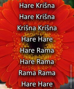 Hare Krishna Maha Mantra in Slovenian 006