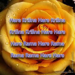 Hare Krishna Maha Mantra in Slovenian 003