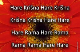 Hare Krishna Maha Mantra in Slovenian 006