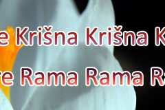 Hare Krishna Maha Mantra in Slovenian 001