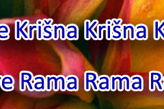 Hare Krishna Maha Mantra in Slovenian 005