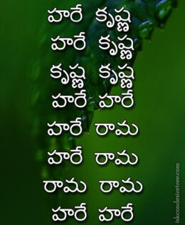 Hare Krishna Maha Mantra in Telugu 001