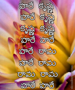 Hare Krishna Maha Mantra in Telugu 006