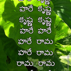 Hare Krishna Maha Mantra in Telugu 007