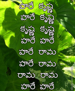 Hare Krishna Maha Mantra in Telugu 007