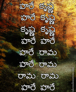 Hare Krishna Maha Mantra in Telugu 013